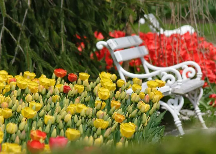 Apartma * Recica ob Savinji